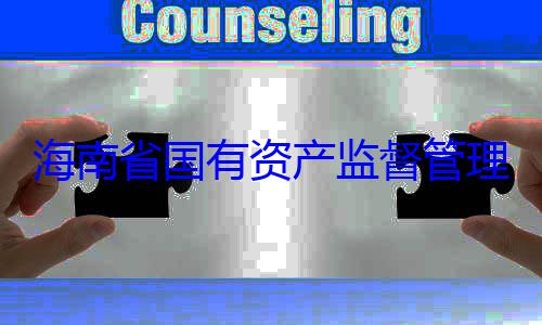 理委员会党委副书记王有福接受审资产监督管海南省国有查调查